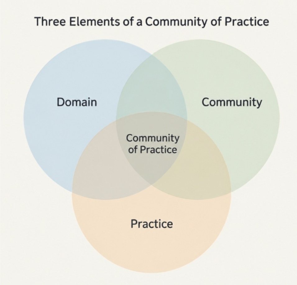Three overlapping circles labelled Domain, Community and Practice; Community of Practice sits where all three overlap.
